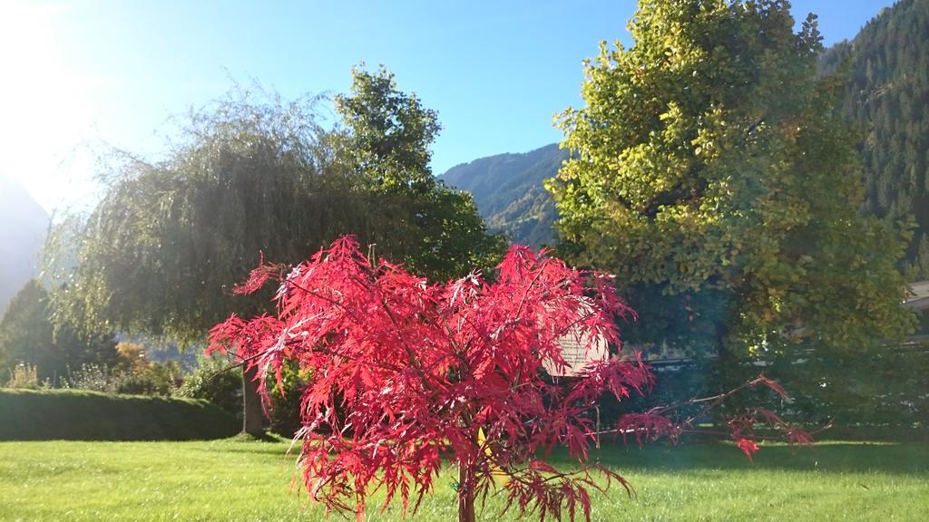 Villa Amsel Mayrhofen Buitenkant foto